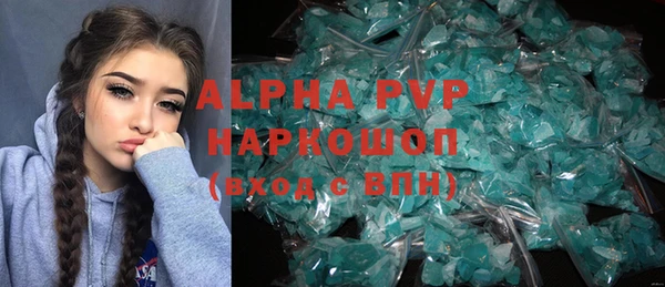 стафф Алексин