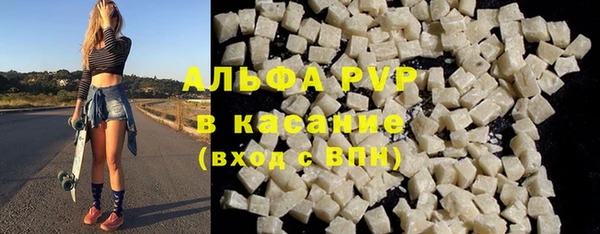 стафф Алексин