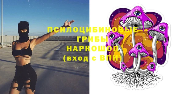 стафф Алексин
